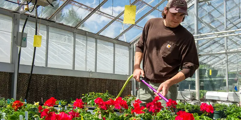 student working in greenhouse facility