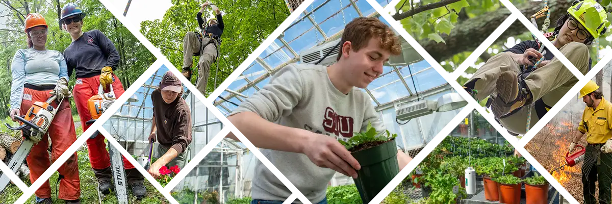 School of Forestry and Horticulture photo collage