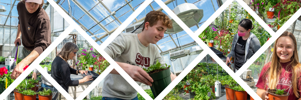 SIU Students doing tree identification