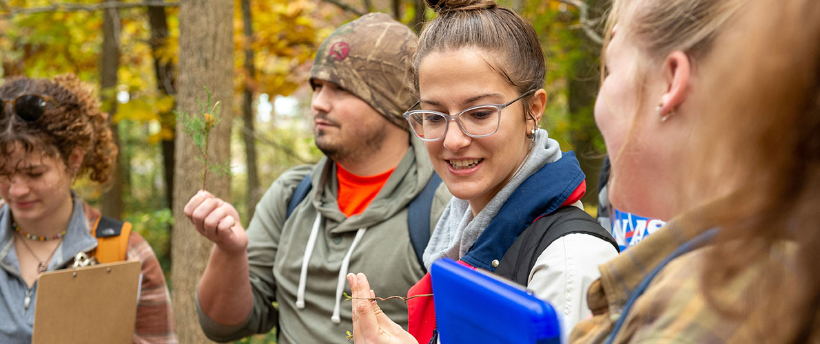 SIU Students doing tree identification